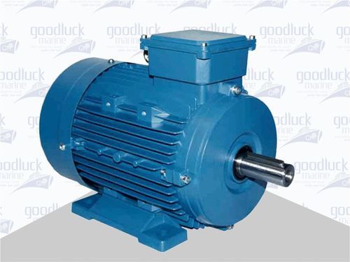 Electric Motor